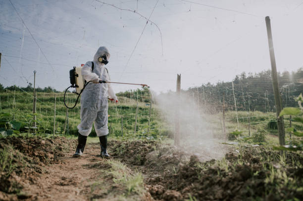Pest Prevention Services in Stratmoor, CO