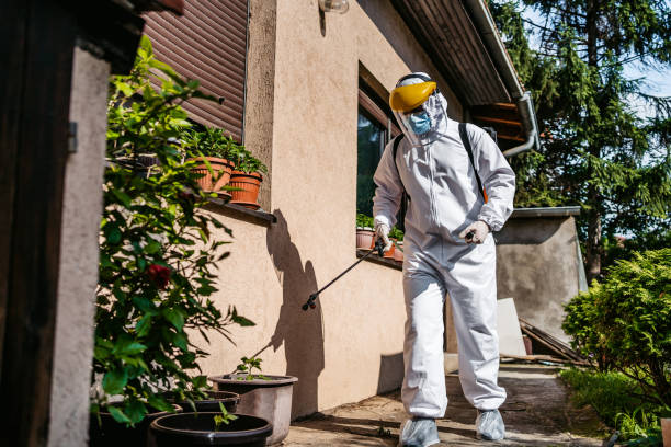 Best Affordable Pest Control Services  in Stratmoor, CO