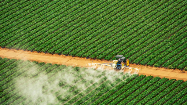Best Best Pest Control Companies  in Stratmoor, CO